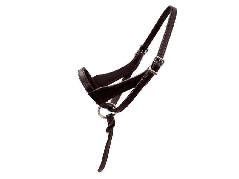Paris Tack Double Layered Leather Grow with Me Adjustable Horse Foal Halter with Extra Crown Piece - Image 1